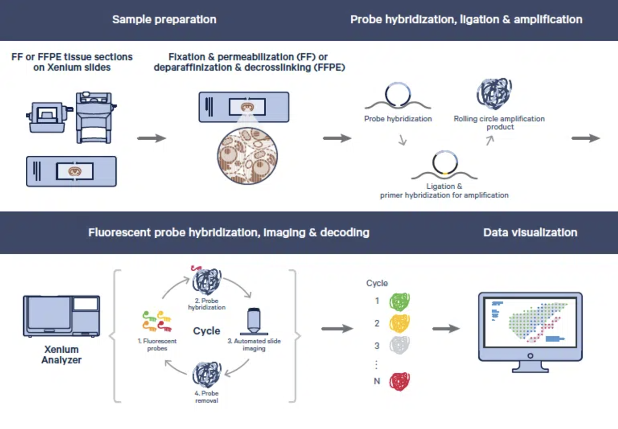 Screenshot 2024-11-19 at 15.00.06