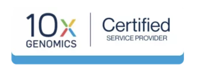 Screenshot 2024-11-19 at 14.56.43